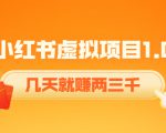 《小红书虚拟项目1.0》账号注册+养号+视频制作+引流+变现，几天就赚两三千-逐风项目库