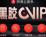 网易云音乐撸黑胶年卡及变现方法，收益可无限放大-逐风项目库