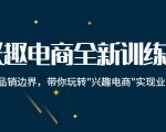 兴趣电商全新训练营：打破品销边界，带你玩转“兴趣电商“实现业务增长-逐风项目库