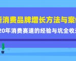 新消费品牌增长方法与案例精华课：20年消费赛道的经验与坑全收录-逐风项目库