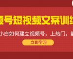 视频号短视频文案训练营：0基础小白如何建立视频号，上热门，能卖货！-逐风项目库