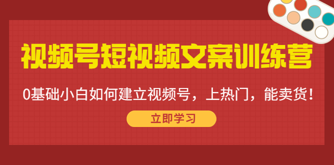 视频号短视频文案训练营：0基础小白如何建立视频号，上热门，能卖货！-逐风项目库