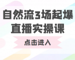 自然流3场起爆直播实操课 双标签交互拉号实战系统课-逐风项目库