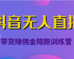 抖音无人直播带货赚佣金陪跑训练营（价值6980元）-逐风项目库