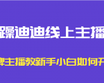 暴躁迪迪线上主播课，金牌主播教新手小白如何开播-逐风项目库