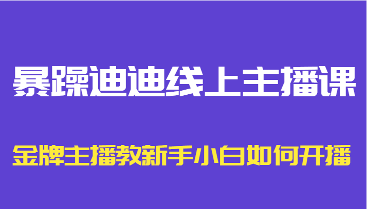 暴躁迪迪线上主播课，金牌主播教新手小白如何开播-逐风项目库
