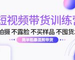 短视频带货训练营：不拍摄 不露脸 不买样品 不囤货发货 简单粗暴混剪带货（第三期）-逐风项目库