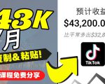 2022抖音国际版Tiktok赚钱项目：每天上传一个视频就轻松月入$43200-逐风项目库