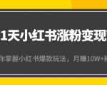 21天小红书涨粉变现营（第4期）：带你掌握小红书爆款玩法，月赚10W+秘密-逐风项目库