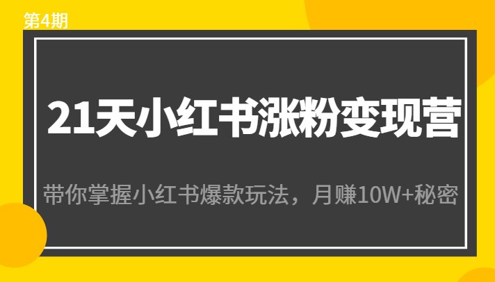 21天小红书涨粉变现营（第4期）：带你掌握小红书爆款玩法，月赚10W+秘密-逐风项目库
