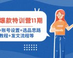 小红书爆款特训营11期：人设定位+账号设置+选品思路+拍照教程+发文流程等-逐风项目库