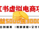 小红书虚拟电商项目：从小白到精英 月收益5000到30000 (视频课程+交付手册)-逐风项目库