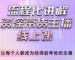 婉婉-主播拉新实操课，流程化讲解资深带货主播，让每个人都成为经得起考验的主播-逐风项目库