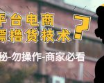 外面收费2980的全平台电商白嫖撸货技术（仅揭秘勿操作-商家防范必看）-逐风项目库
