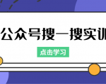 公众号搜一搜实训，收录与恢复收录、 排名优化黑科技，附送工具（价值998元）-逐风项目库