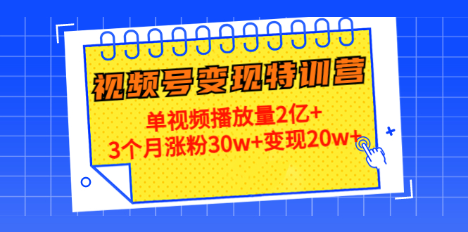 21天视频号变现特训营：单视频播放量2亿+3个月涨粉30w+变现20w+（第14期）-逐风项目库
