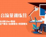 美业抖音流量训练营：从0到10w+粉丝 让你的门店用户增长+业绩增长+利润增长-逐风项目库