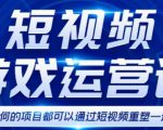 短视频游戏赚钱特训营，0门槛小白也可以操作，日入1000+-逐风项目库