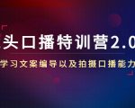 镜头口播特训营2.0版，学习文案编导以及拍摄口播能力（50节课时）-逐风项目库