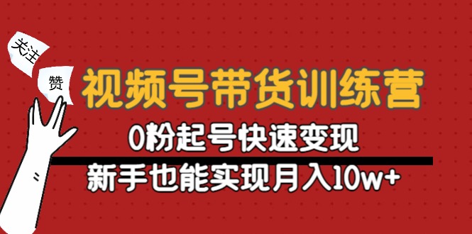 视频号带货训练营：0粉起号快速变现，新手也能实现月入10w+-逐风项目库