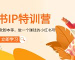 小红书IP特训营：从搭建-制作-爆款脚本等等，做一个赚钱的小红书号-逐风项目库