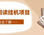 全自动阅读挂机项目，号称单窗10r，全套脚本+教程，小白上手简单-逐风项目库