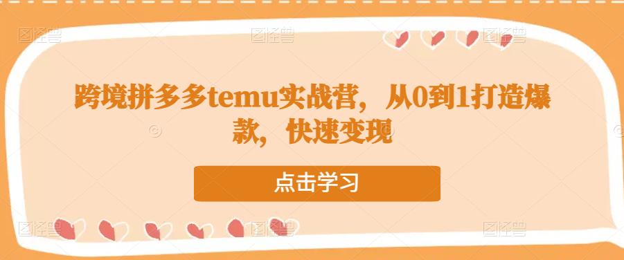 跨境拼多多temu实战营，从0到1打造爆款，快速变现-逐风项目库