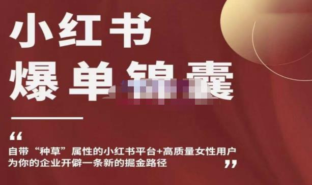 小红书爆单锦囊，自带种草属性+高质量女性用户，为你的企业开辟一条新的掘金路径-逐风项目库