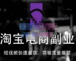 蓝Sir派·淘宝短视频快速起店，替代传统搜索方式，学会做一个不一样的淘宝店-逐风项目库