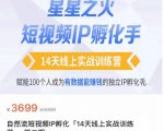 瑶瑶·自然流短视频IP孵化第二期，14天线上实战训练营，赋能100个人成为有数据能赚钱的独立IP孵化手-逐风项目库