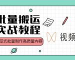 视频号批量搬运实战操作运营赚钱教程，傻瓜式批量制作高质量内容【附视频教程+PPT】-逐风项目库