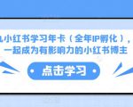 厦九九小红书学习年卡（全年IP孵化），沉浸式学习，一起成为有影响力的小红书博主-逐风项目库