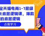 大圣淘宝天猫电商1-7层级盈利增长底层逻辑课，爆款的底层逻辑-逐风项目库