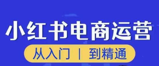 顽石小红书电商高阶运营课程，从入门到精通，玩法流程持续更新-逐风项目库