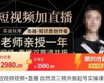 张越·短视频+直播，自然流三频共振起号实操课，​短视频所有流量玩法讲解-逐风项目库