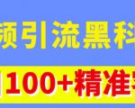 视频引流黑科技玩法，不花钱推广，视频播放量达到100万+，每日100+精准客源-逐风项目库