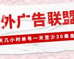 外面收费1980的最新国外LEAD广告联盟搬砖项目，单号一天至少30美金【详细玩法教程】-逐风项目库