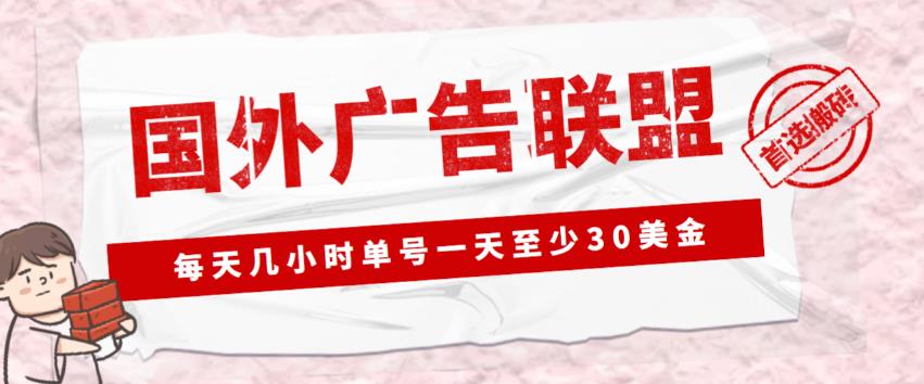 外面收费1980的最新国外LEAD广告联盟搬砖项目，单号一天至少30美金【详细玩法教程】-逐风项目库