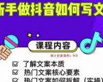 新手做抖音如何写文案，手把手实操如何拆解热门文案-逐风项目库