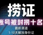 2023年最新抖音八大技术，一证多实名，秒注销，断抖破投流，永久捞证，钱包注销，跳人脸识别，蓝V多实-逐风项目库
