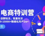 美团电商特训营：美团·店群玩法，无脑铺货月产出6000-15000+精细化月产2w+-逐风项目库