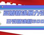 豆瓣精准暴力引流，日引精准粉500+【12课时】-逐风项目库
