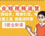 5套·美业短视频运营课从场景到话术·精准引流·吸金文案工具·销售闭环等-逐风项目库