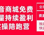 抖音商城搜索持续盈利陪跑成长营，抖音商城搜索从0-1、从1到10的全面解决方案-逐风项目库
