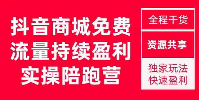 抖音商城搜索持续盈利陪跑成长营，抖音商城搜索从0-1、从1到10的全面解决方案-逐风项目库