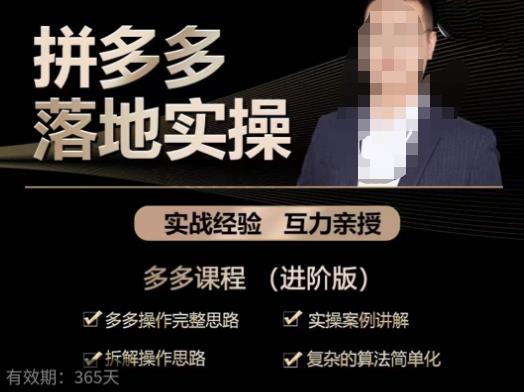 拼多多实战篇·落地实操：多多操作完整思路+实操案例讲解+拆解操作思路+复杂的算法简单化-逐风项目库