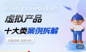 虚拟产品项目拆解课，十大类案例拆解分析运营玩法-逐风项目库