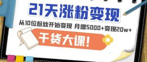 21天精准涨粉变现干货大课：从10位粉丝开始变现月增5000+变现20w+-逐风项目库