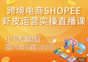 跨境电商Shopee虾皮运营实操直播课，从零开始学，入门到精通（10节系统课）-逐风项目库