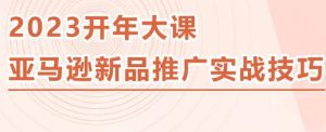 2023亚马逊新品推广实战技巧，线下百万美金课程的精简版，简单粗暴可复制，实操性强的推广手段-逐风项目库